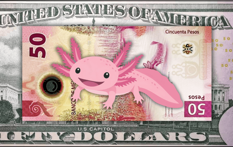 El peso mexicano acaba de romper una barrera psicológica importante frente al dólar estadounidense, cerrando su mejor semana en meses. ESPECIAL / CANVA