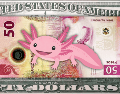El peso mexicano acaba de romper una barrera psicológica importante frente al dólar estadounidense, cerrando su mejor semana en meses. ESPECIAL / CANVA
