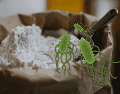 La Salmonella no tiene por qué modificar el olor, sabor o apariencia del producto, por lo que observarlo no es suficiente para determinar si es seguro. CANVA