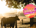 El programa contará con una transmisión 24/7 para aquellos fanáticos que no quieran perderse ni un solo detalle de lo que sucede dentro de la granja. CANVA