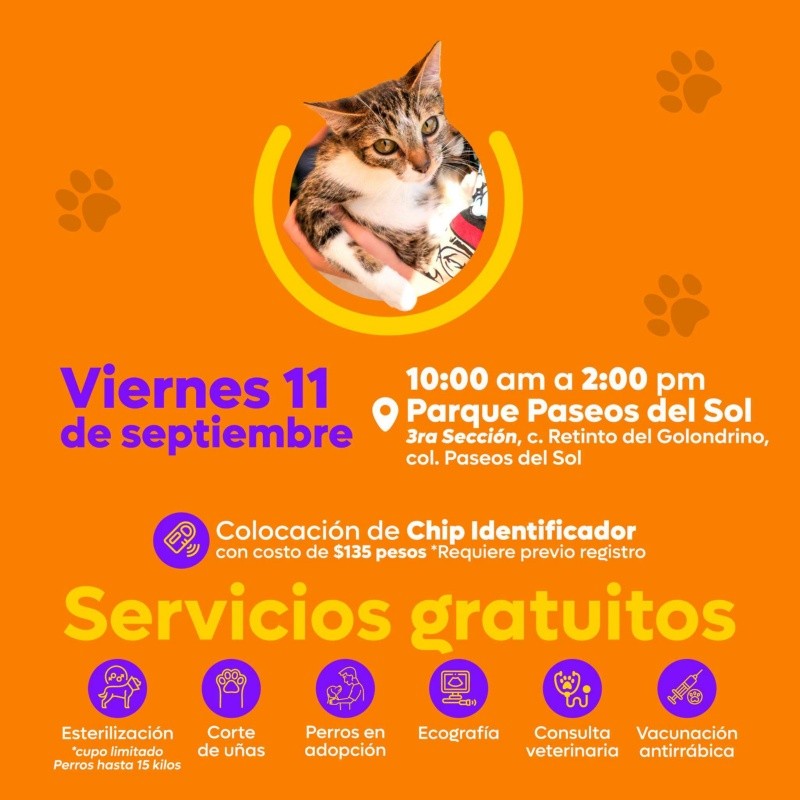 CORTESÍA/ Protección Animal Zapopan. 