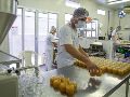 Desde hace siglos, distintas sociedades han recurrido a técnicas para conservar, transformar y hacer más seguros los alimentos. EFE / ARCHIVO