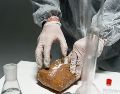 Un informe reciente del Observatorio Francés de las Drogas y las Tendencias Adictivas (OFDT) señala que los puertos franceses, especialmente el de Le Havre, se han posicionado en la "vanguardia del tráfico de cocaína" en Europa. PEXELS