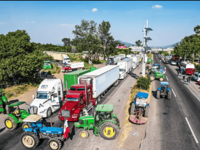 Los productores del campo lamentaron que la industria harinera esté contratando solamente el 25% de la producción total de maíz. EL INFORMADOR / ARCHIVO