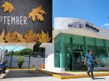 El penúltimo pago del año de la Pensión Bienestar comenzó a entregarse el pasado 1 de septiembre y, como ocurre habitualmente, la dispersión se realiza de acuerdo con un calendario establecido por letra. ESPECIAL / EL INFORMADOR y CANVA