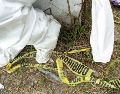 Culiacán vive una ola de violencia que alcanzó a colectivos de búsqueda de desaparecidos. AFP/ARCHIVO