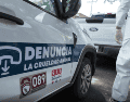 Los 15 animales fueron puestos bajo resguardo de las autoridades municipales y trasladados a las instalaciones de la Unidad de Bienestar Animal para recibir atención y ser sometidos a los exámenes correspondientes. ESPECIAL