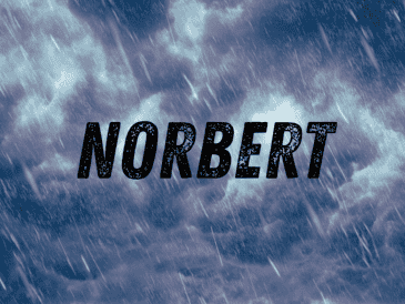 Debido a su enorme distancia de las costas nacionales y a su trayectoria proyectada mar adentro, "Norbert" no representa absolutamente ningún peligro para el territorio mexicano. ESPECIAL / CANVA