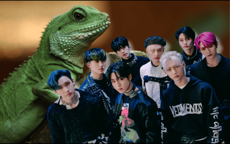 La elección del Herpetario de la UNAM está relacionada directamente con la conexión que Han Jisung mantiene con estos animales. ESPECIAL/STRAYKIDSOFICIAL