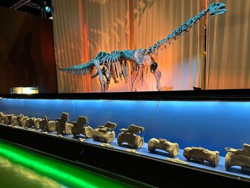 Los resultados de la investigación se han publicado en Journal of Vertebrate Paleontology, una revista científica internacional especializada en vertebrados fósiles.  EFE/ Fundación Dinópolis