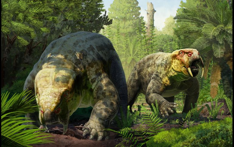 La nueva especie ha sido descrita por un equipo encabezado por la Universidad de Bristol. EFE / G. Ugueto /  Universidad de Bristol