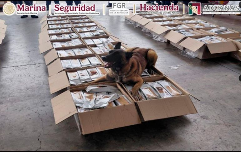 El cargamento quedó bajo resguardo de la Aduana del AICM y se efectuaron las diligencias para determinar la naturaleza de la sustancia. X / @GabSeguridadMX