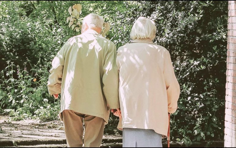 Las penas por abandono de adultos mayores podrían implementarse y aumentar bajo algunas causales. UNSPLASH / M. Henderson