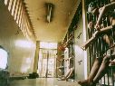 Los ingresos a prisión y el crecimiento neto de la población penitenciaria corresponden a etapas e indicadores diferentes del sistema de justicia penal. EL INFORMADOR/ARCHIVO