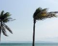 Antes de alcanzar la categoría de huracán, los ciclones tropicales pasan por distintas etapas dentro de su desarrollo.  UNSPLASH