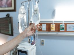 En 2026 se reportaron 575 infestaciones de gusano barrenador en humanos. ESPECIAL/PEXELS