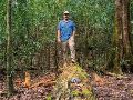 Caminar entre esta vegetación permite descubrir que la singularidad del sitio rebasa a sus maples. ESPECIAL