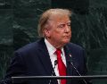 Raymundo Riva Palacio sostiene que Trump ya no presentó a los cárteles únicamente como un problema entre México y Estados Unidos, sino como una amenaza de alcance mundial. EFE / O. Fedorova