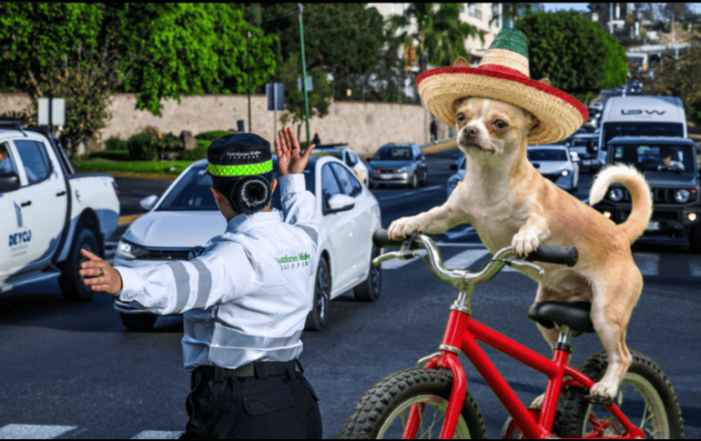 Este jueves 24 de septiembre, las fiestas patrias llegarán a las calles de Zapopan con una rodada muy especial. ESPECIAL/ EL INFORMADOR/ ARCHIVO/ Unsplash