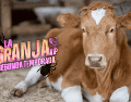 El veterinario aclaró a los participantes que la zona donde se desarrolla el reality no registra brotes frecuentes de este tipo de parásitos, lo que ayudó a reducir parte de la preocupación CANVA