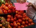 La inflación de septiembre disparó el costo del jitomate más de un 22 % en México; revisa dónde encontrarlo barato en Guadalajara. EL INFORMADOR / ARCHIVO