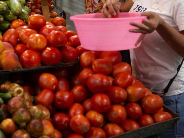 La inflación de septiembre disparó el costo del jitomate más de un 22 % en México; revisa dónde encontrarlo barato en Guadalajara. EL INFORMADOR / ARCHIVO