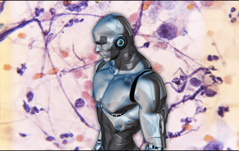 Esta investigación aporta un nuevo enfoque en la lucha contra el cáncer basado en la combinación de nanotecnología y matemáticas. ESPECIAL/Canva