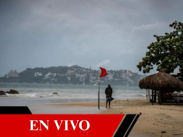 ESPECIAL / EFE y CANVA