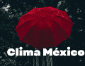 Se recomienda a la población seguir las indicaciones de Protección Civil ante posibles inundaciones o deslaves. ESPECIAL/Unsplash