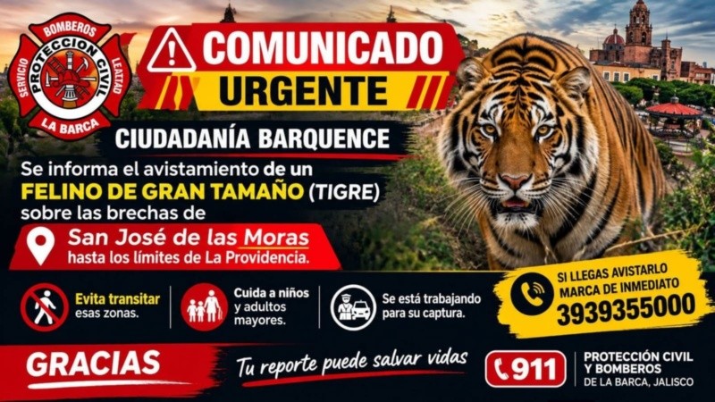 &nbsp;Alerta por avistamiento de tigre