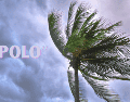 Hasta el último reporte oficial, "Polo" se mantenía como un huracán de categoría 3 a una distancia de 175 kilómetros al suroeste de Cabo San Lázaro y a 405 kilómetros al sur de Cabo San Lucas. ESPECIAL / CANVA