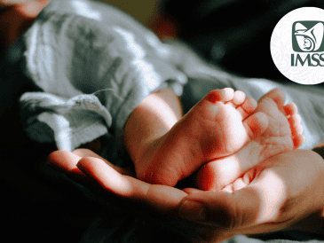 "Ambas instituciones lamentan profundamente el fallecimiento de los recién nacidos y expresan su solidaridad con las familias", dijeron las dependencias en una tarjeta informativa. UNSPLASH / CANVA