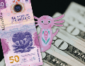 El balance general de la semana del 28 de septiembre al 2 de octubre dejó un saldo desfavorable para la economía nacional. ESPECIAL / CANVA