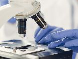 La Secretaría de Salud y la Cofepris informaron que no existe evidencia analítica concluyente para responsabilizar a los alimentos mexicanos por los brotes de Salmonella y Cyclospora investigados por la FDA. ESPECIAL / CANVA