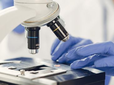La Secretaría de Salud y la Cofepris informaron que no existe evidencia analítica concluyente para responsabilizar a los alimentos mexicanos por los brotes de Salmonella y Cyclospora investigados por la FDA. ESPECIAL / CANVA