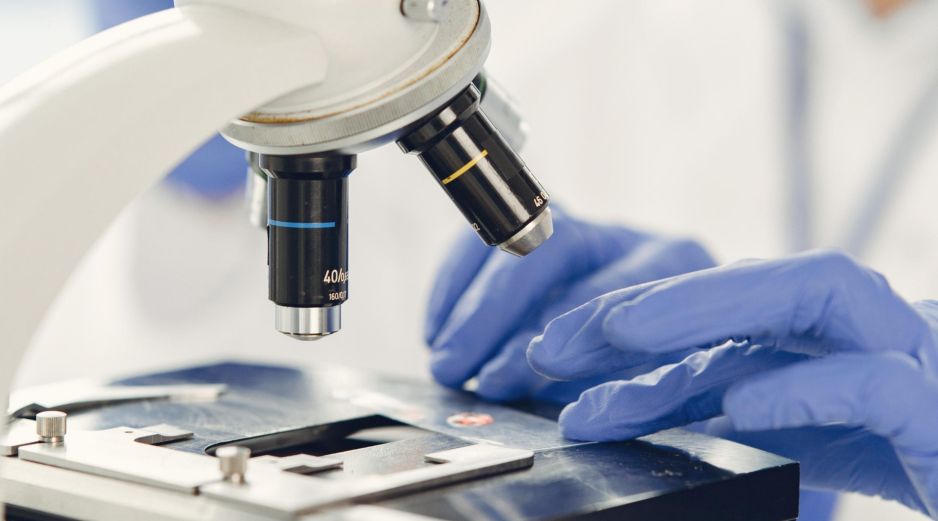 La Secretaría de Salud y la Cofepris informaron que no existe evidencia analítica concluyente para responsabilizar a los alimentos mexicanos por los brotes de Salmonella y Cyclospora investigados por la FDA. ESPECIAL / CANVA