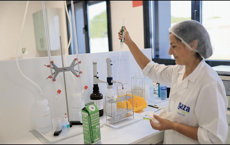 Autoridades sanitarias no han precisado la forma de peste que causó la muerte. AFP