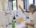 Autoridades sanitarias no han precisado la forma de peste que causó la muerte. AFP