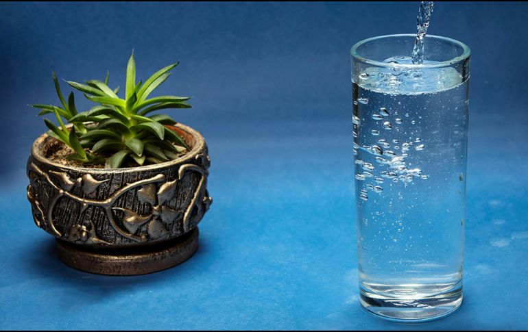 Elegir entre agua y suero oral depende del nivel de deshidratación. Unsplash