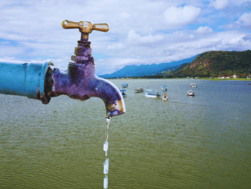 Desde el lago de Chapala, llega en conjunto el 63% del total del agua que se suministra para Guadalajara, es decir, seis de cada diez litros que consumen los tapatíos: ESPECIAL / CANVA