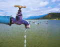 Desde el lago de Chapala, llega en conjunto el 63% del total del agua que se suministra para Guadalajara, es decir, seis de cada diez litros que consumen los tapatíos: ESPECIAL / CANVA