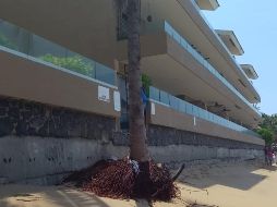 Con esto, se confirmó la validez de las sanciones impuestas por la Profepa por afectaciones a la Zona Federal Marítimo Terrestre y terrenos ganados al mar. ESPECIAL/PROFEPA
