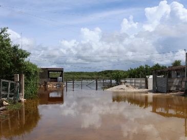 Las lluvias torrenciales de "Simón" provocaron inundaciones y daños en decenas de viviendas. EFE/L. Hernández