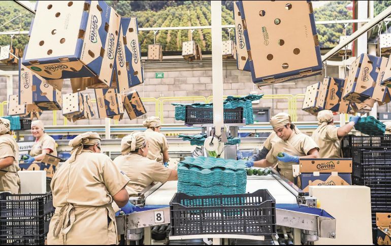 Jalisco generó 11 mil 581 empleos formales durante septiembre, tras las pérdidas registradas en agosto. ESPECIAL