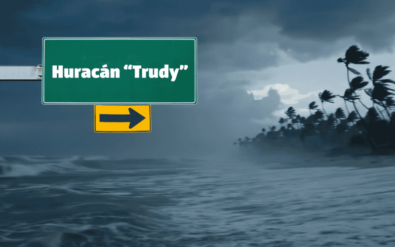 La transición de depresión a tormenta y posteriormente a huracán es un proceso que demanda vigilancia. ESPECIAL / CANVA