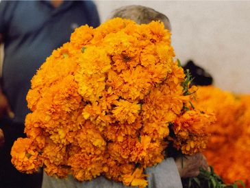 Un elemento indispensable en estas ofrendas es la flor de cempasúchil. ESPECIAL/PEXELS