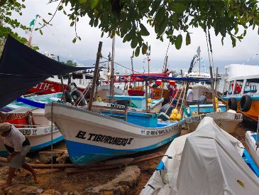 Prevén que "Trudy", ya como huracán de categoría 3, ocasione fuertes tormentas en Colima y Jalisco este fin de semana. EFE/D. Guzmán