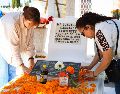 Hasta la semana epidemiológica 39 de 2026, Jalisco registra únicamente 214 casos de dengue. EL INFORMADOR/ARCHIVO