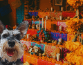 El primer altar de muertos no se dedica a los humanos, sino a los compañeros más leales. ESPECIAL / CANVA