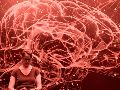 Los científicos ha creado incluso electrofármacos: implantes que dan órdenes al cerebro para que combata afecciones, como por ejemplo la diabetes, sin necesidad de medicamentos. Unsplash